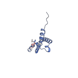 10543_6tpq_j_v1-2
RNase M5 bound to 50S ribosome with precursor 5S rRNA