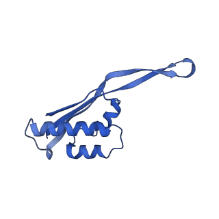 10543_6tpq_l_v1-2
RNase M5 bound to 50S ribosome with precursor 5S rRNA