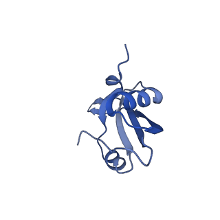 10543_6tpq_m_v1-2
RNase M5 bound to 50S ribosome with precursor 5S rRNA