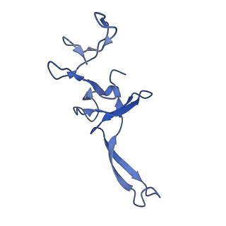 10543_6tpq_n_v1-2
RNase M5 bound to 50S ribosome with precursor 5S rRNA