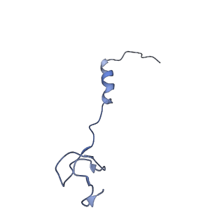 10543_6tpq_p_v1-2
RNase M5 bound to 50S ribosome with precursor 5S rRNA