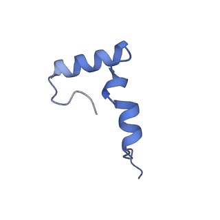 10543_6tpq_r_v1-2
RNase M5 bound to 50S ribosome with precursor 5S rRNA
