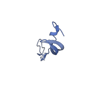 10543_6tpq_u_v1-2
RNase M5 bound to 50S ribosome with precursor 5S rRNA