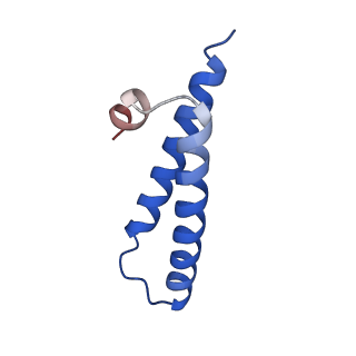 10543_6tpq_v_v1-2
RNase M5 bound to 50S ribosome with precursor 5S rRNA