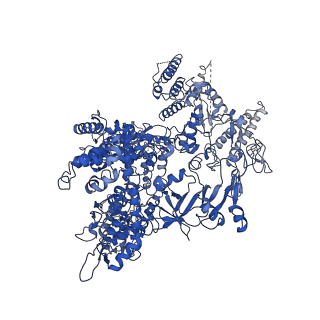 10544_6tps_A_v1-0
early intermediate RNA Polymerase I Pre-initiation complex - eiPIC