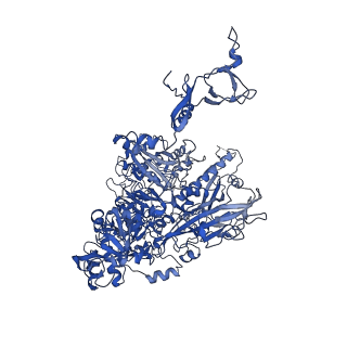10544_6tps_B_v1-0
early intermediate RNA Polymerase I Pre-initiation complex - eiPIC