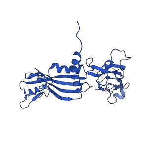 10544_6tps_C_v1-0
early intermediate RNA Polymerase I Pre-initiation complex - eiPIC