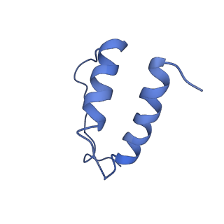 10544_6tps_D_v1-0
early intermediate RNA Polymerase I Pre-initiation complex - eiPIC