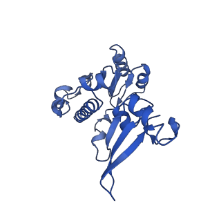 10544_6tps_E_v1-0
early intermediate RNA Polymerase I Pre-initiation complex - eiPIC
