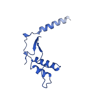 10544_6tps_F_v1-0
early intermediate RNA Polymerase I Pre-initiation complex - eiPIC