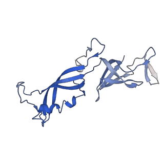 10544_6tps_G_v1-0
early intermediate RNA Polymerase I Pre-initiation complex - eiPIC