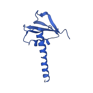 10544_6tps_K_v1-0
early intermediate RNA Polymerase I Pre-initiation complex - eiPIC