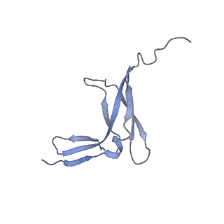 10544_6tps_M_v1-0
early intermediate RNA Polymerase I Pre-initiation complex - eiPIC