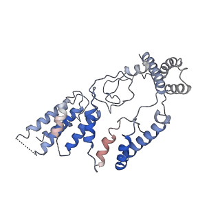 10544_6tps_R_v1-0
early intermediate RNA Polymerase I Pre-initiation complex - eiPIC