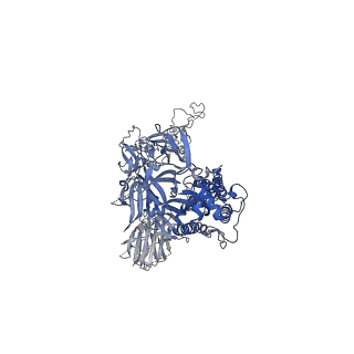 26043_7tp0_B_v1-2
Delta (B.1.617.2) SARS-CoV-2 variant spike protein (S-GSAS-Delta) in the 3-RBD-down conformation; Subclassification D8 state