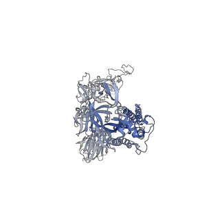 26052_7tpe_C_v1-2
Delta (B.1.617.2) SARS-CoV-2 variant spike protein (S-GSAS-Delta) in the 1-RBD-up conformation; Subclassification D16 state
