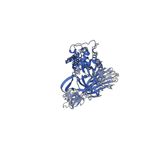 26053_7tpf_B_v1-2
Delta (B.1.617.2) SARS-CoV-2 variant spike protein (S-GSAS-Delta) in the 1-RBD-up conformation; Subclassification D17 state