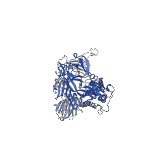 26053_7tpf_C_v1-2
Delta (B.1.617.2) SARS-CoV-2 variant spike protein (S-GSAS-Delta) in the 1-RBD-up conformation; Subclassification D17 state