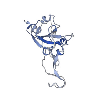 26058_7tpk_E_v1-0
SARS-CoV-2 E406W mutant RBD - Local Refinement