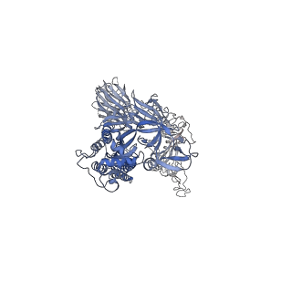 26059_7tpl_C_v1-2
Delta (B.1.617.2) SARS-CoV-2 variant spike protein (S-GSAS-Delta) in the M1 conformation, D4