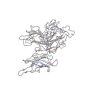 26060_7tpp_D_v1-1
Cryo-em structure of human prothrombin:prothrombinase at 4.1 Angstrom resolution