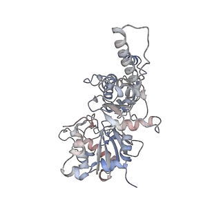26063_7tpt_A_v1-1
Single-particle Cryo-EM structure of Arp2/3 complex at branched-actin junction.