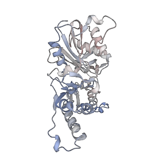 26063_7tpt_B_v1-1
Single-particle Cryo-EM structure of Arp2/3 complex at branched-actin junction.