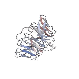 26063_7tpt_C_v1-1
Single-particle Cryo-EM structure of Arp2/3 complex at branched-actin junction.