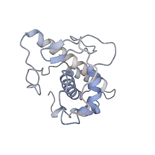 26063_7tpt_E_v1-1
Single-particle Cryo-EM structure of Arp2/3 complex at branched-actin junction.