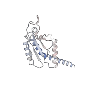 26063_7tpt_F_v1-1
Single-particle Cryo-EM structure of Arp2/3 complex at branched-actin junction.