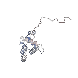 26063_7tpt_G_v1-1
Single-particle Cryo-EM structure of Arp2/3 complex at branched-actin junction.