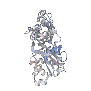 26063_7tpt_H_v1-1
Single-particle Cryo-EM structure of Arp2/3 complex at branched-actin junction.