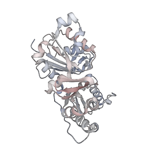 26063_7tpt_I_v1-1
Single-particle Cryo-EM structure of Arp2/3 complex at branched-actin junction.