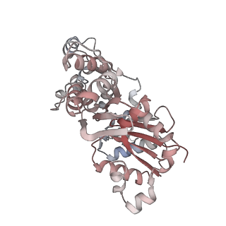 26063_7tpt_J_v1-1
Single-particle Cryo-EM structure of Arp2/3 complex at branched-actin junction.