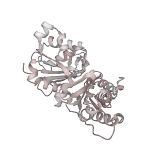 26063_7tpt_K_v1-1
Single-particle Cryo-EM structure of Arp2/3 complex at branched-actin junction.