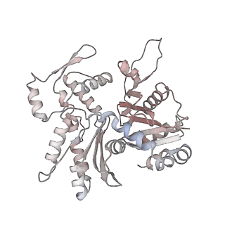26063_7tpt_L_v1-1
Single-particle Cryo-EM structure of Arp2/3 complex at branched-actin junction.