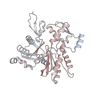 26063_7tpt_M_v1-1
Single-particle Cryo-EM structure of Arp2/3 complex at branched-actin junction.
