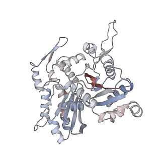26063_7tpt_N_v1-1
Single-particle Cryo-EM structure of Arp2/3 complex at branched-actin junction.