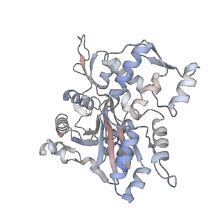 26063_7tpt_O_v1-1
Single-particle Cryo-EM structure of Arp2/3 complex at branched-actin junction.