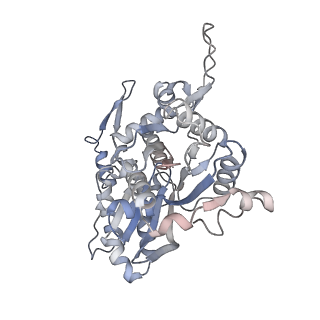 26063_7tpt_P_v1-1
Single-particle Cryo-EM structure of Arp2/3 complex at branched-actin junction.