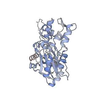 26063_7tpt_Q_v1-1
Single-particle Cryo-EM structure of Arp2/3 complex at branched-actin junction.