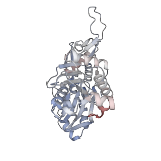 26063_7tpt_R_v1-1
Single-particle Cryo-EM structure of Arp2/3 complex at branched-actin junction.