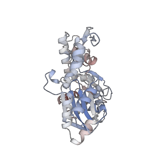 26063_7tpt_S_v1-1
Single-particle Cryo-EM structure of Arp2/3 complex at branched-actin junction.