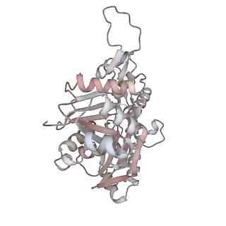 26063_7tpt_T_v1-1
Single-particle Cryo-EM structure of Arp2/3 complex at branched-actin junction.