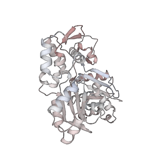 26063_7tpt_U_v1-1
Single-particle Cryo-EM structure of Arp2/3 complex at branched-actin junction.