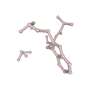26063_7tpt_o_v1-1
Single-particle Cryo-EM structure of Arp2/3 complex at branched-actin junction.