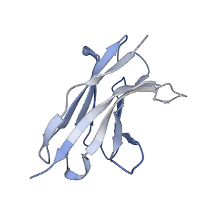 41468_8tp6_F_v1-0
H2 hemagglutinin (A/Singapore/1/1957) in complex with RBS-targeting Fab 4-1-1E02