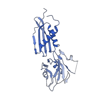10546_6tqn_V_v1-3
rrn anti-termination complex without S4