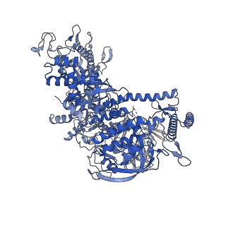 10546_6tqn_Y_v1-3
rrn anti-termination complex without S4
