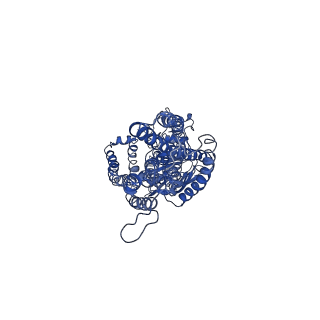 10549_6tqe_A_v1-2
The structure of ABC transporter Rv1819c without addition of substrate